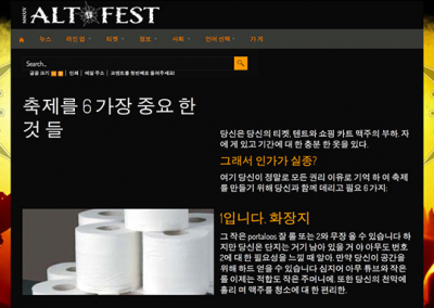 Alt-Fest music festival website (5 of 5)